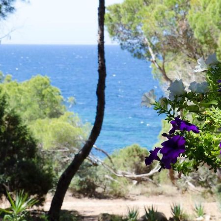Villa Buonumore Porto Pino Exterior photo
