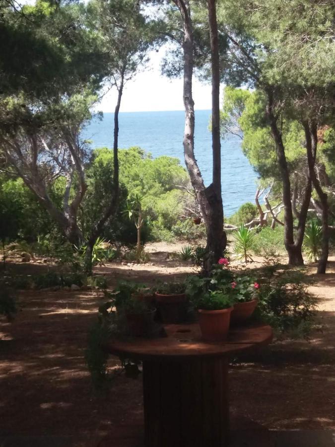 Villa Buonumore Porto Pino Exterior photo
